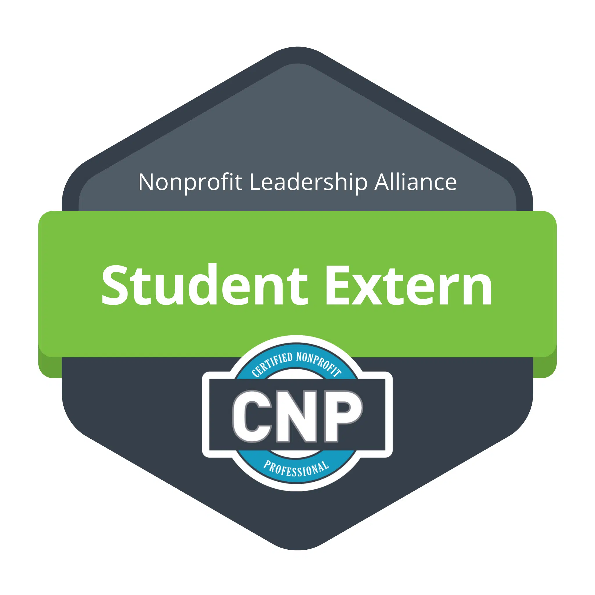 Nonprofit Leadership Alliance's Nonprofit Externship program