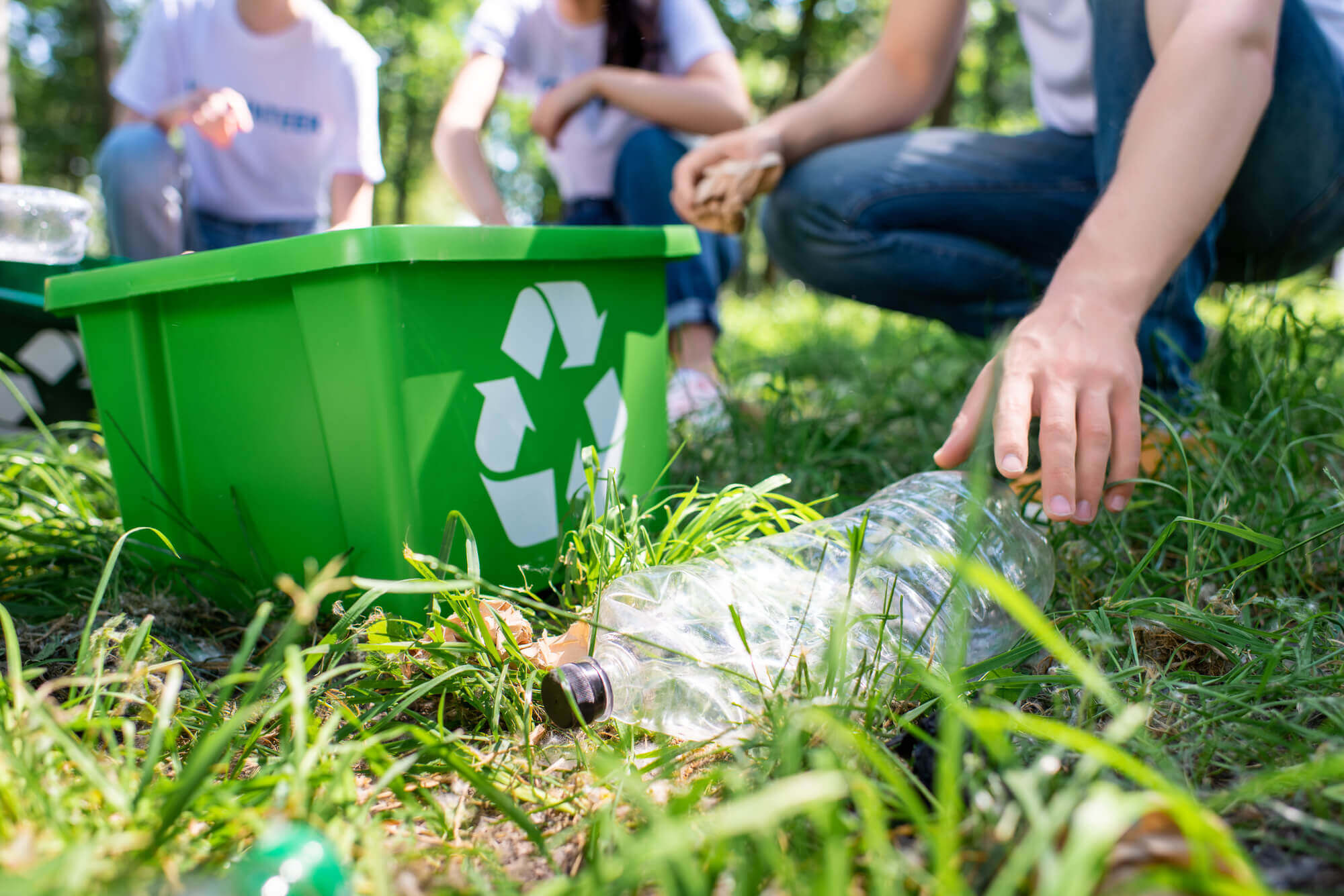 Explore this sustainability guide to learn more about how your nonprofit can use digital waivers to make its operations more environmentally friendly.