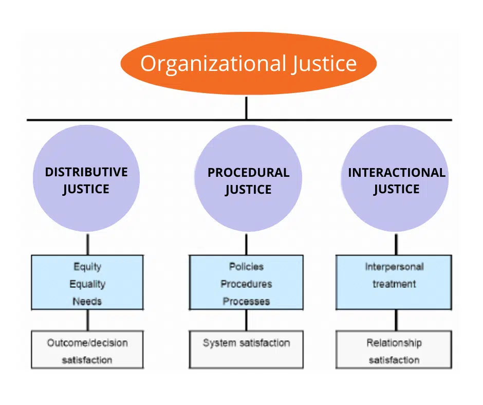 Organizational Justice Diagram showcasing the needs of organizational culture.